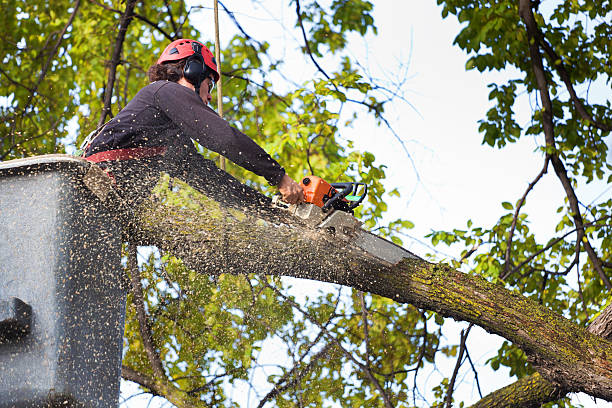 Lawn Drainage Solutions in Winooski, VT